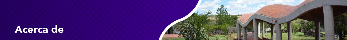 Acerca de