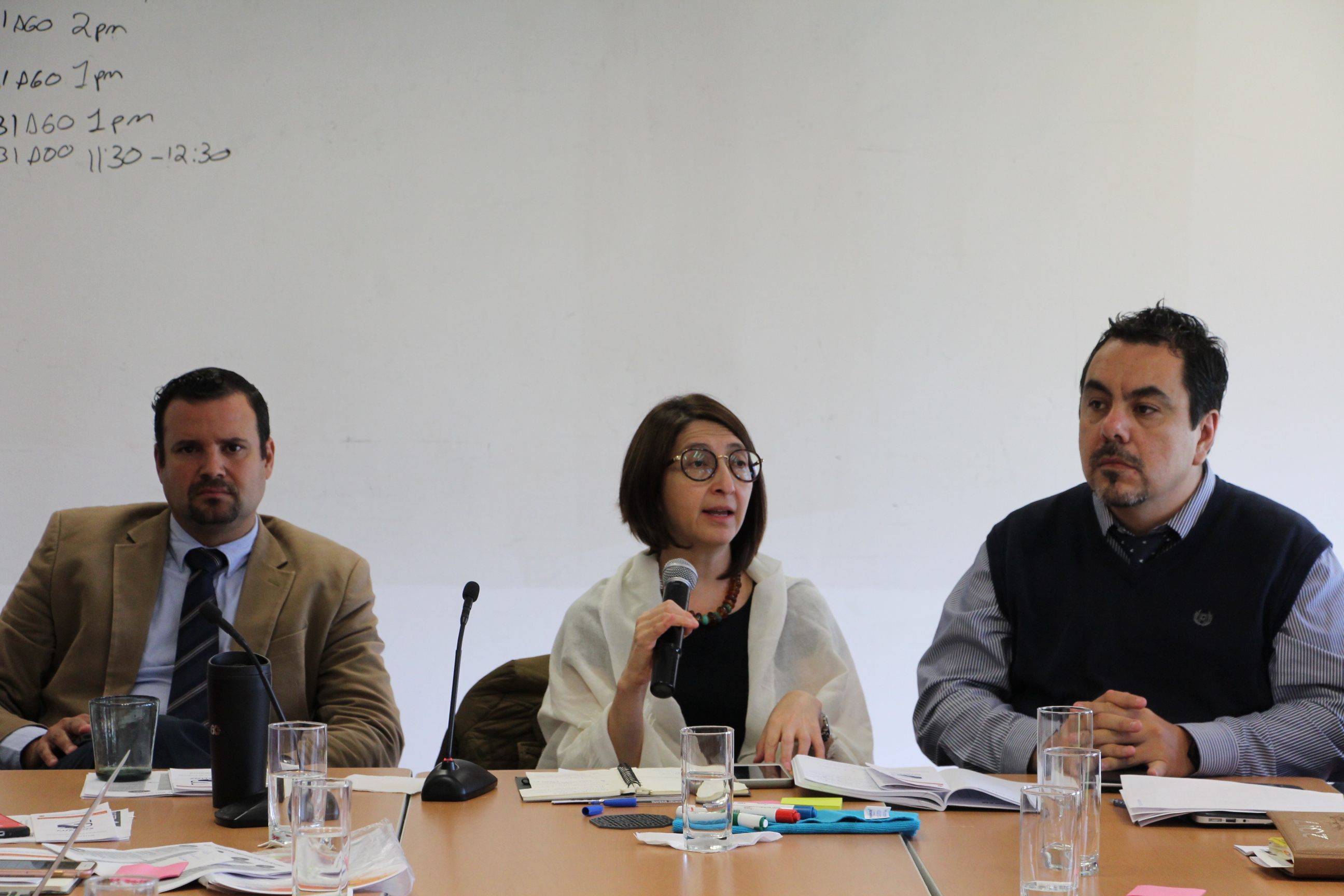Cada Coordinador expuso las inquietudes de sus alumnos