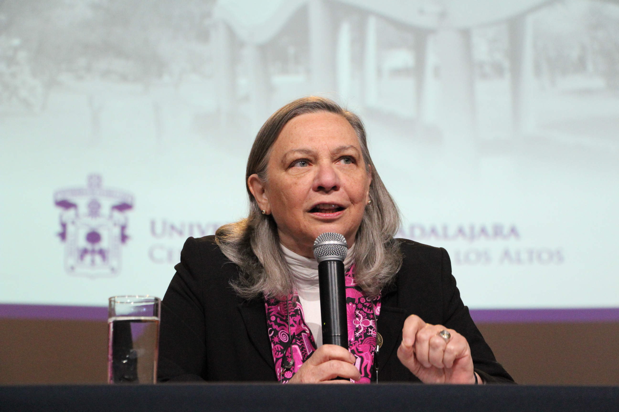 Sylvia Schmelkes defiende tenazmente la importancia de la pedagogía