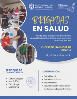 Brigadas en Salud