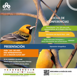 Guía. Las 100 aves más representativas de la Región Altos Sur